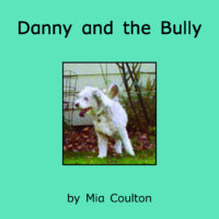 Danny and the Bully