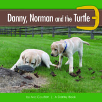 Danny Norman and the Turtle Cover
