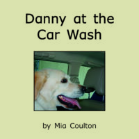 Danny at the Car Wash Cover
