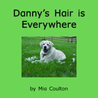 Danny's Hair is Everywhere Cover