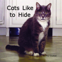 Cats Like to Hide Cover