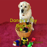 Danny's Toy Basket Cover