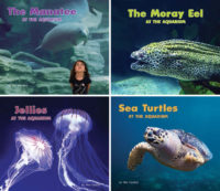 At the Aquarium Set 2