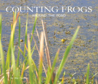 Cover of Counting Frogs Around the Pond